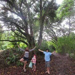 Meet your Posher, Alice